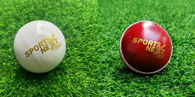 Red and White Premium Leather Balls Cricket